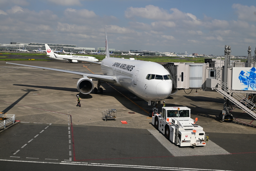 いざ！　高知空港へ！