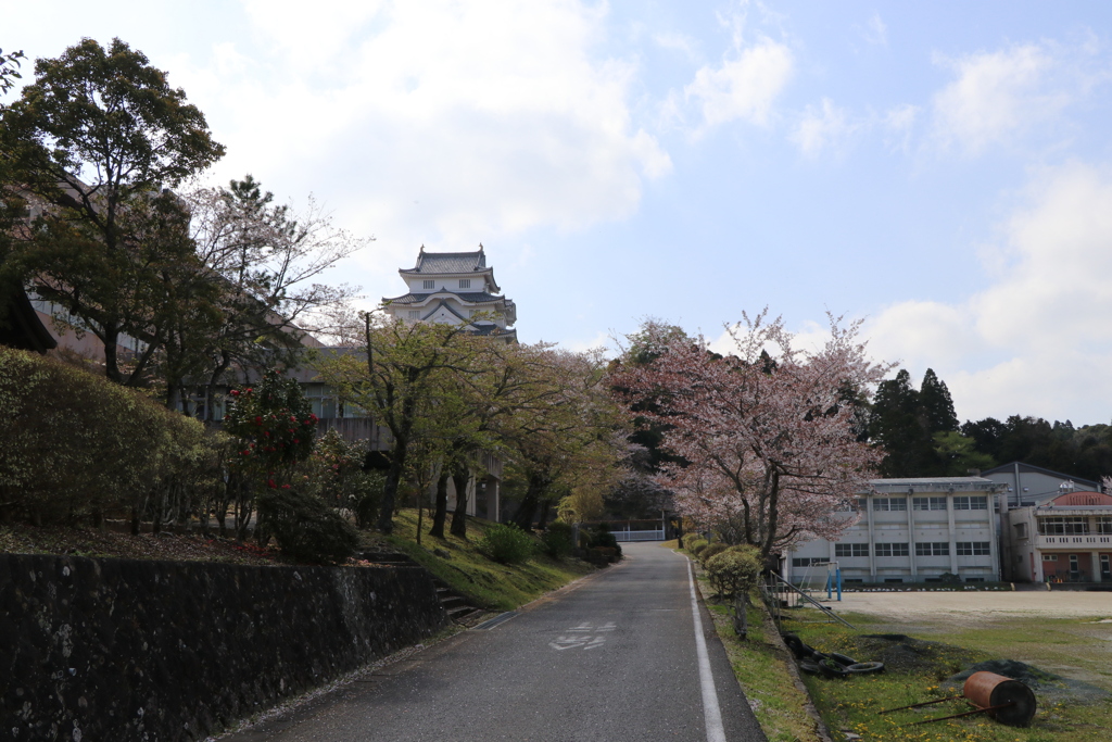 大多喜城と桜並木