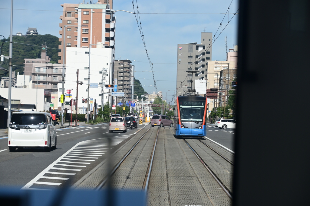 松山市内の道路の真ん中を堂々と走るいよてつの車両たち