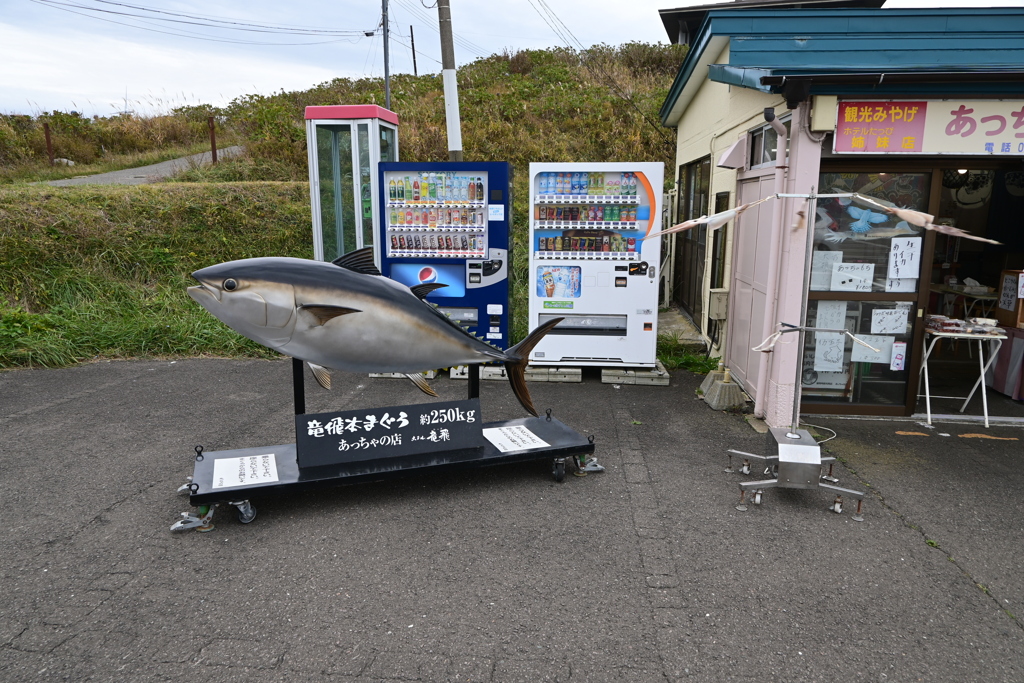 マグロの解体ショーは残念ながらやっていませんでした(-_-;)