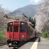 桜と会津鉄道の気動車