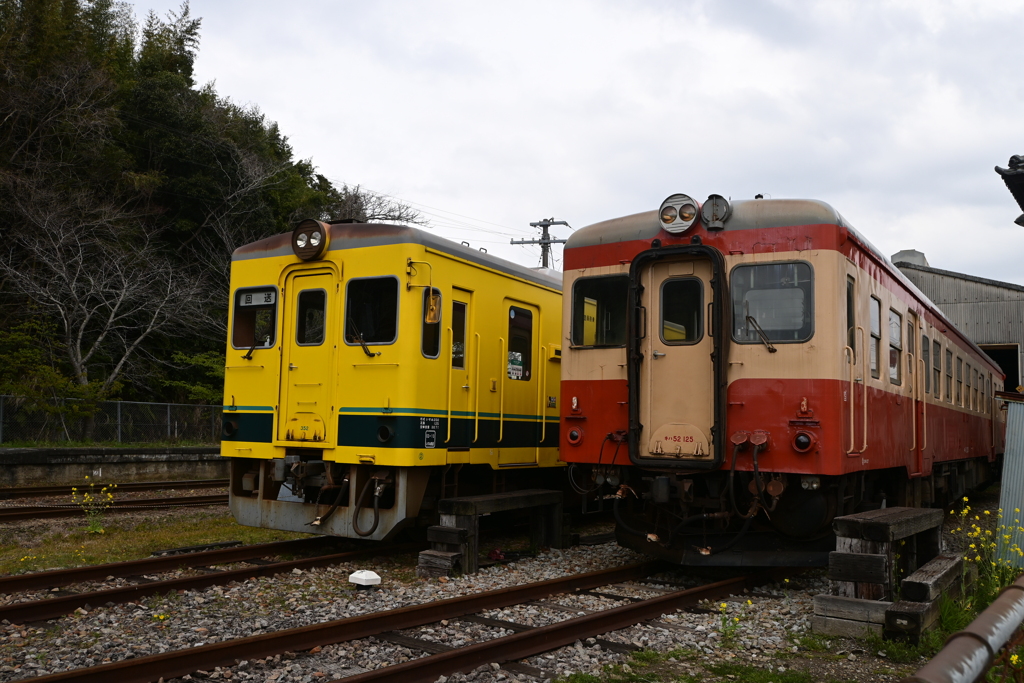 いすみ鉄道の現役車両たち