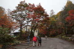 紅葉している新穂高温泉