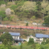 接岨峡温泉④