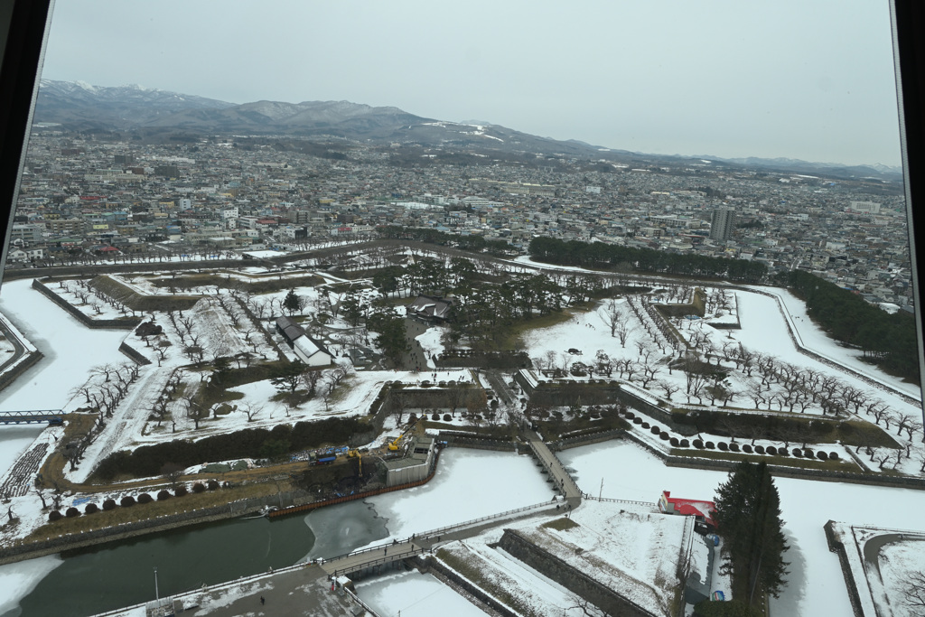 五稜郭公園のタワーからの眺め