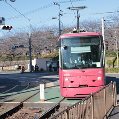 飛鳥山駅に進入するピンク色の8800形車両
