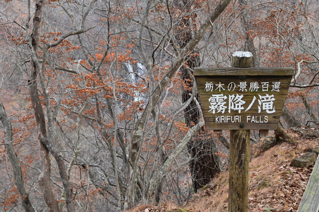 霧降の滝➁