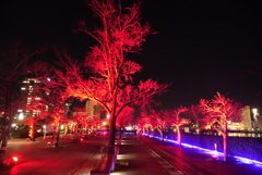 イルミネーション➂