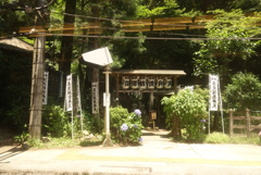 箱根へ➂