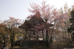 修善寺②