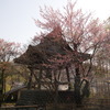 修善寺②