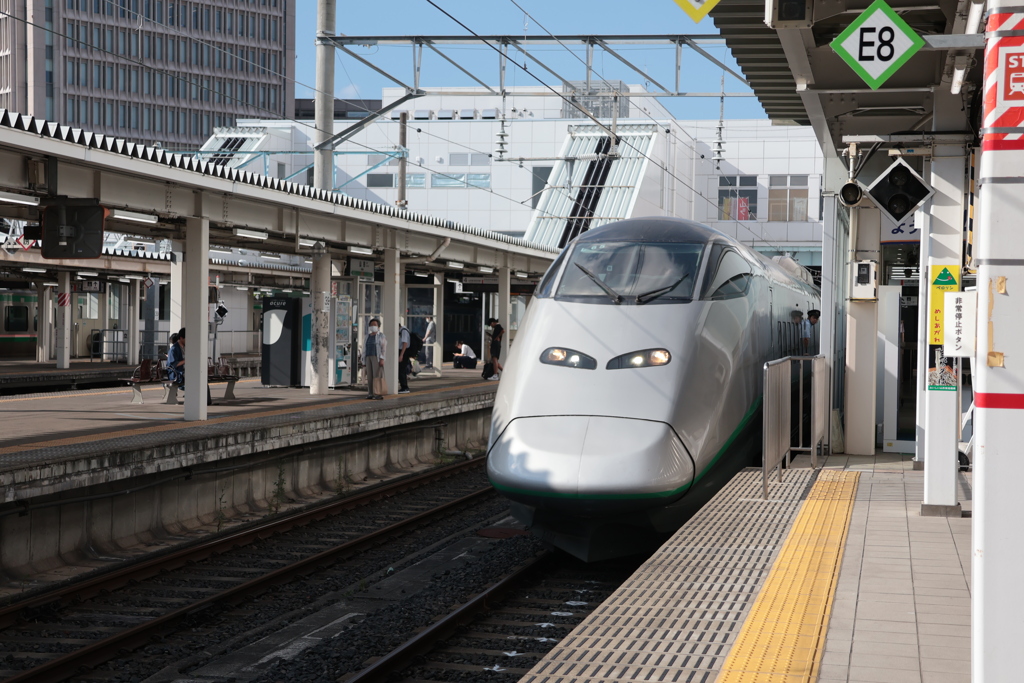 つばさ150号で東京駅へ！