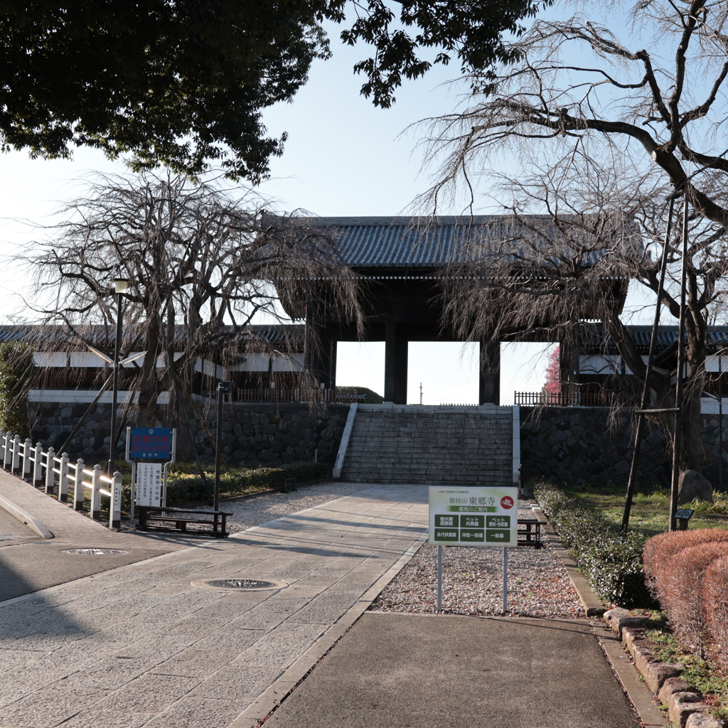 東郷寺