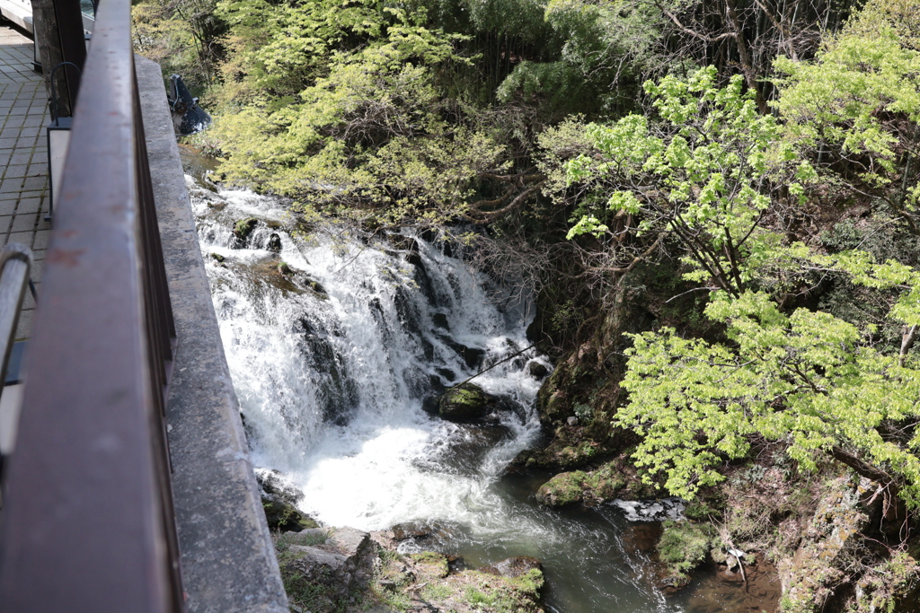 東山温泉の某旅館からの眺め！