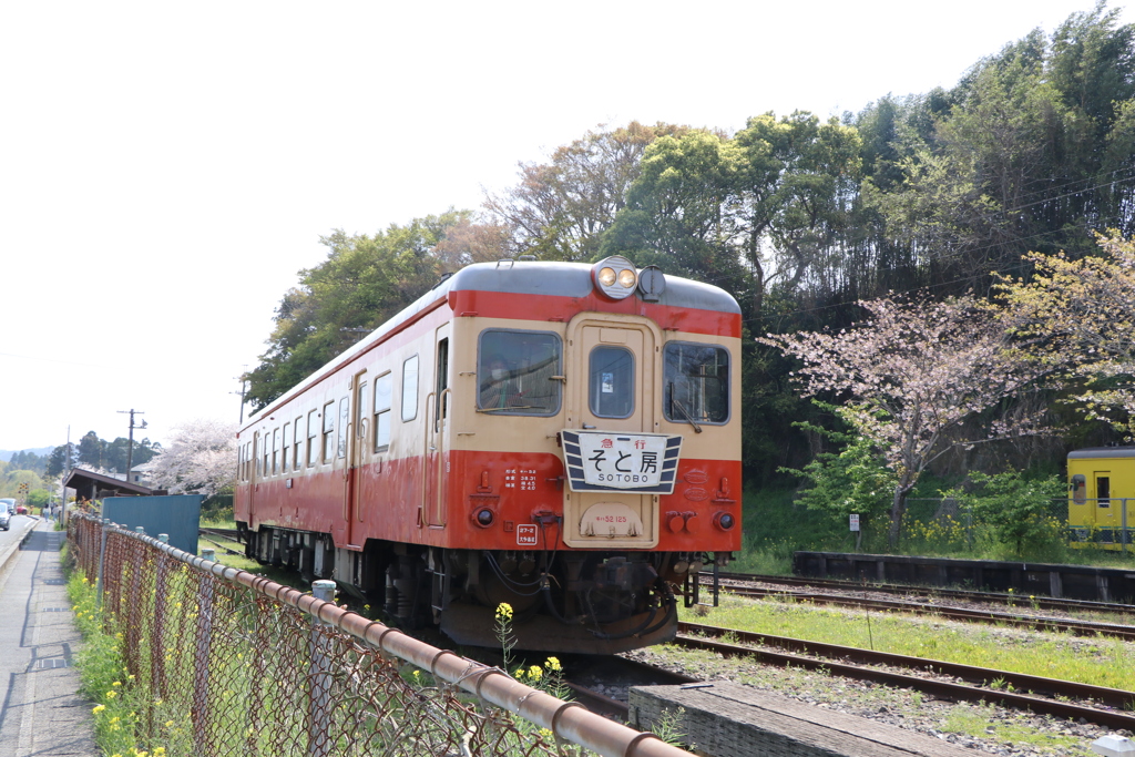 大多喜駅の検車区に入る急行そと房号