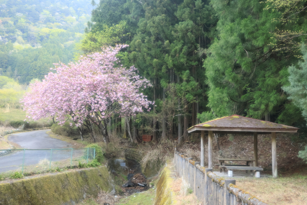 接岨峡温泉②