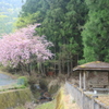 接岨峡温泉②
