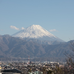 富士山