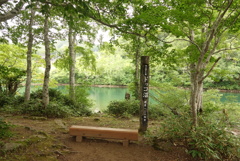 ドッコ沼