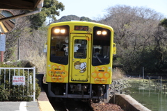 BUNBUN TRAIN➀