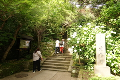 いざ鎌倉へ⑩