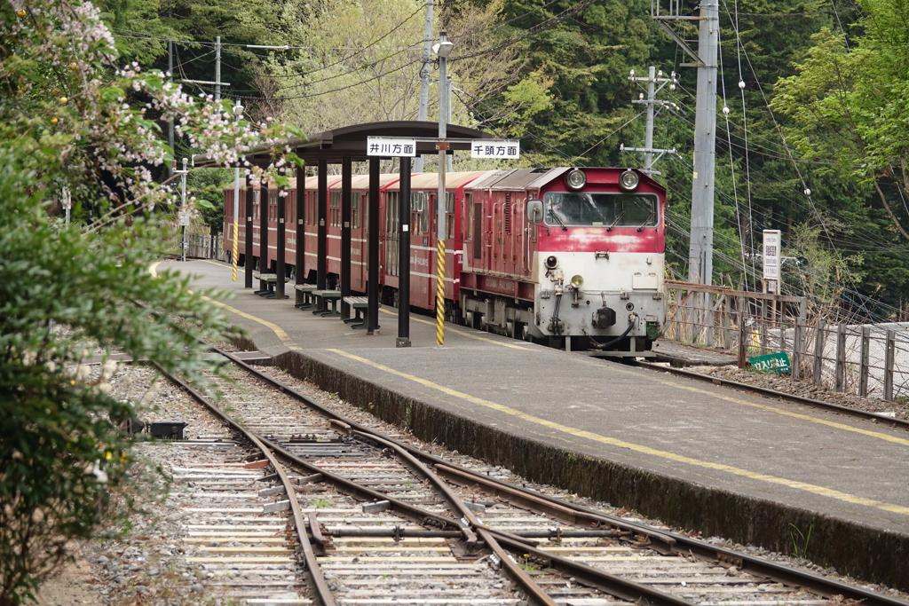 接阻峡温泉駅②