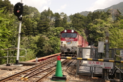 奥大井湖上駅にトロッコ列車が進行