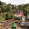 奥大井湖上駅にトロッコ列車が進行