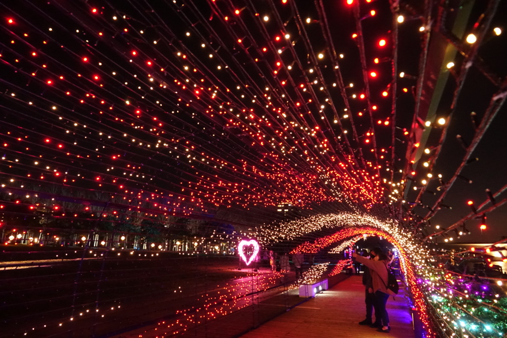 イルミネーション④