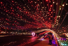 イルミネーション④
