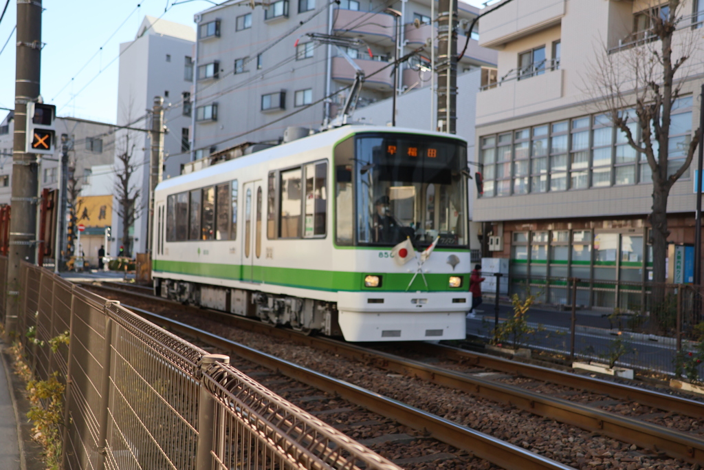 都電荒川線⑤（東京都交通局・さくらトラム）