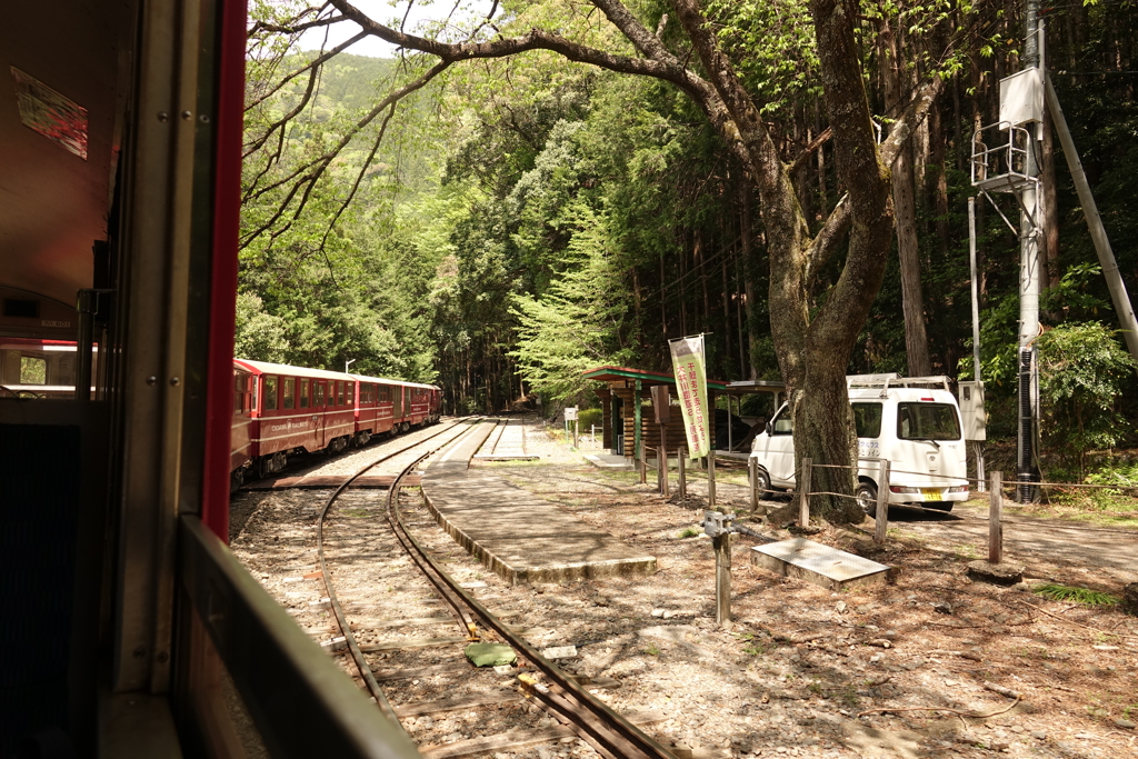 トロッコ列車の車内より