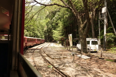 トロッコ列車の車内より