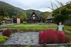 白川郷