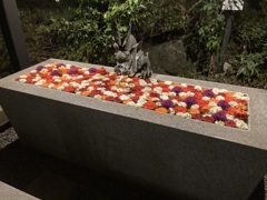 花景の湯➀