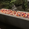 花景の湯➀