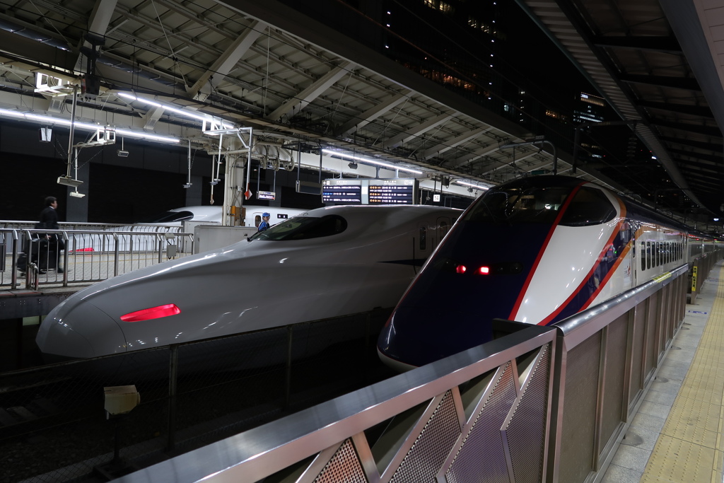 つばさ号で東京駅に到着！