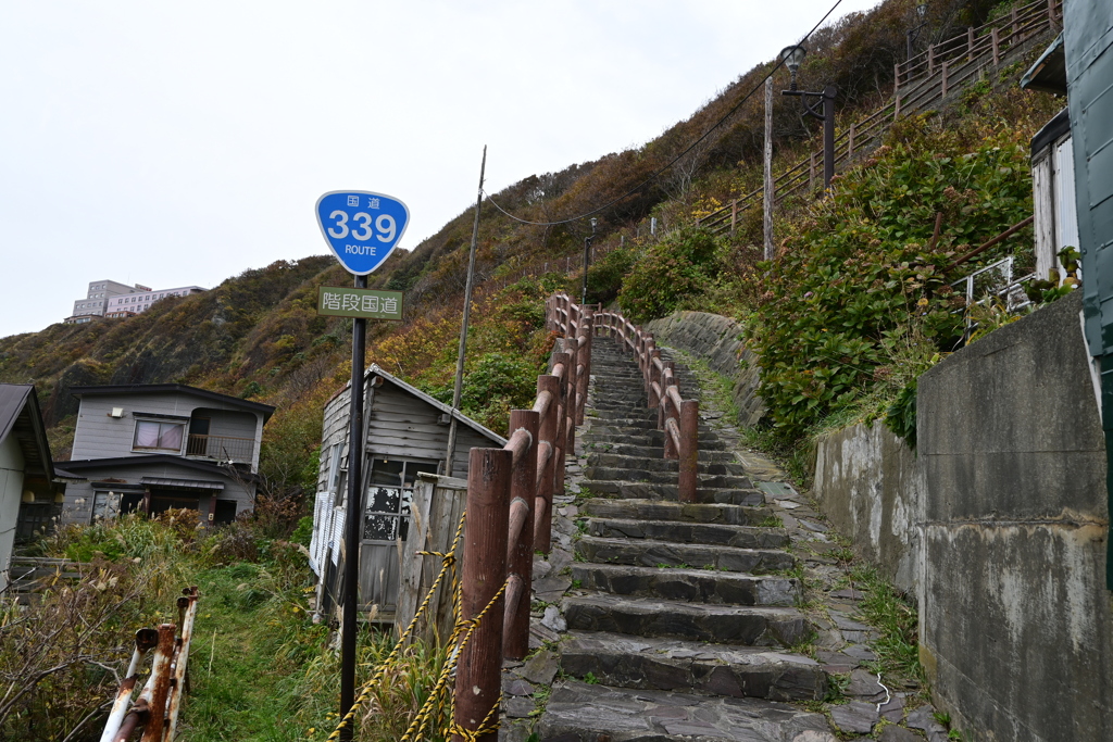 国道339号線！？