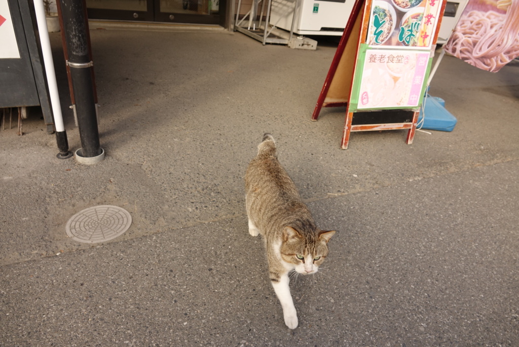 道の駅　たけゆらの里