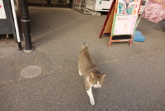 道の駅　たけゆらの里