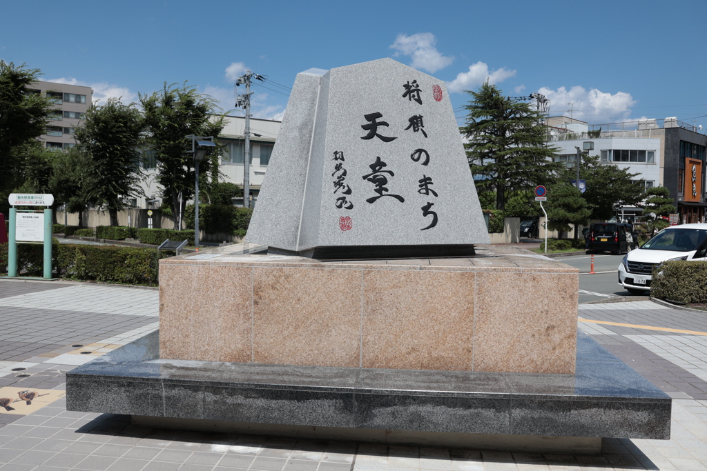 将棋の駒！？