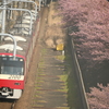 桜と2100系