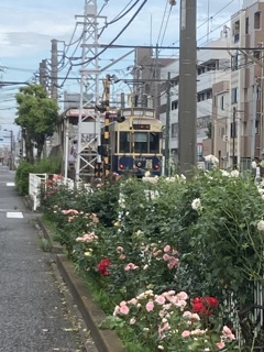 都電荒川線⑤