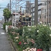 都電荒川線⑤