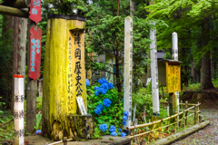 陣ケ岡歴史公園