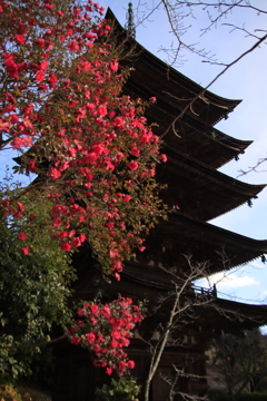 冬の五重塔