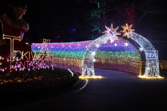 TOKIWAファンタジア2025-2