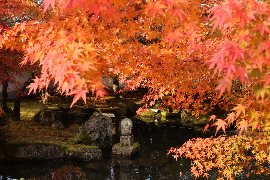 漢陽寺紅葉4
