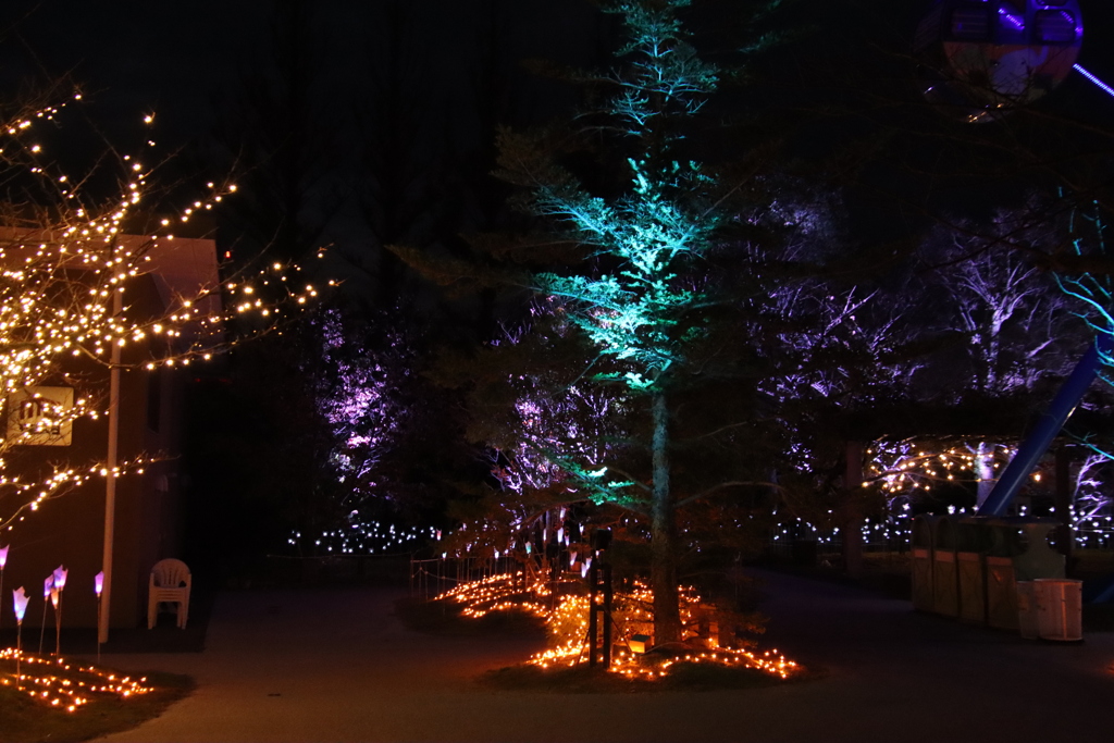 常盤ファンタジア2024-2