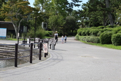 お散歩